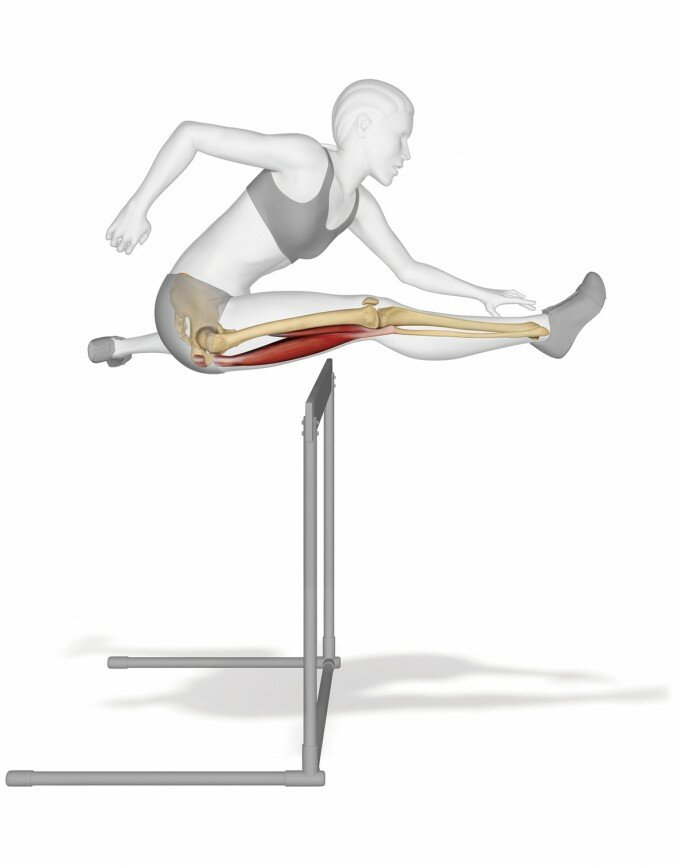 Anatomy of an Athlete_Emily Evans