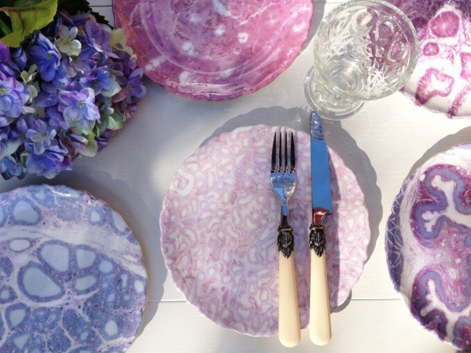 Emily Evans_Histology Cake Plates