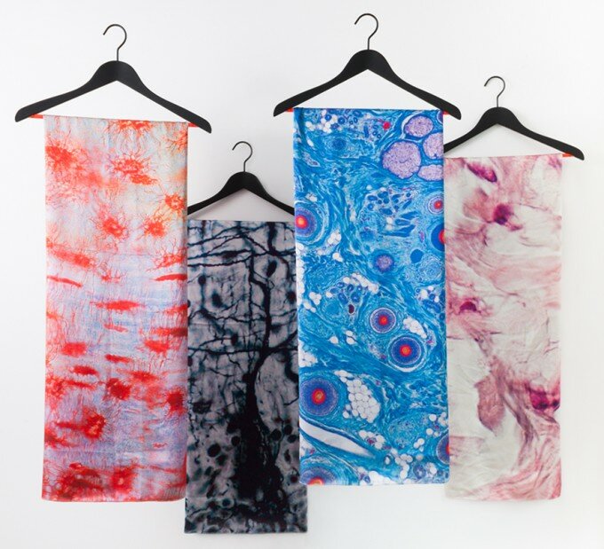 Newsletter_Histology_Scarves